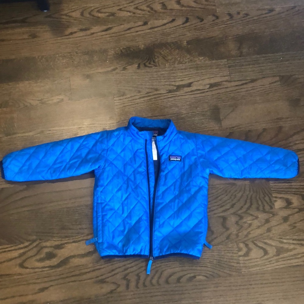 Patagonia 2t nanopuff coat